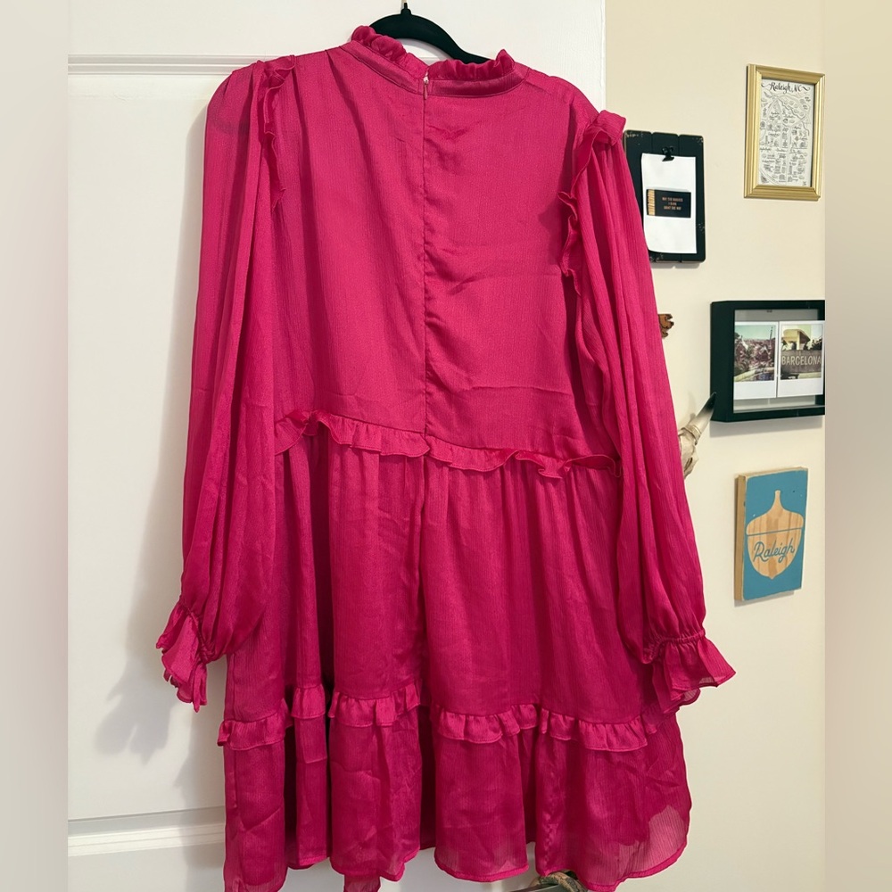 Hot Pink Ruffle Dress - Picture 4 of 4
